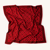 Sera Silk Scarf