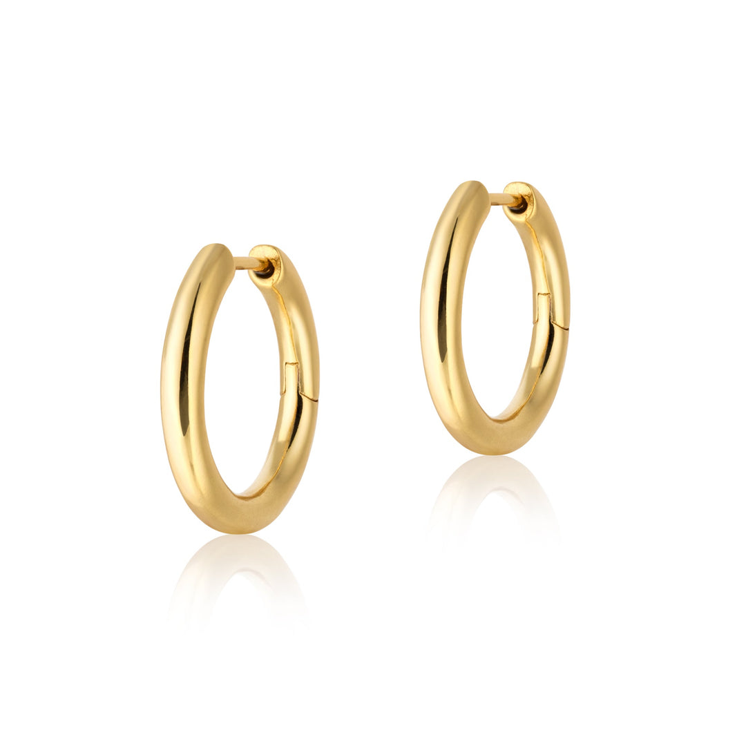 Thick Hoops | Gold - Pixie Wing -